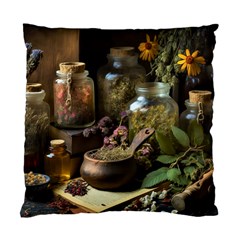 Apothecary Old Herbs Natural Standard Cushion Case (one Side) by Sarkoni