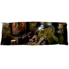 Apothecary Old Herbs Natural Body Pillow Case (dakimakura) by Sarkoni