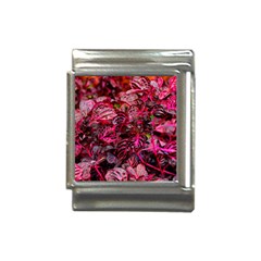 Red Leaves Plant Nature Leaves Italian Charm (13mm) by Sarkoni