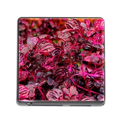 Red Leaves Plant Nature Leaves Memory Card Reader (square 5 Slot) by Sarkoni