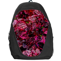 Red Leaves Plant Nature Leaves Backpack Bag by Sarkoni