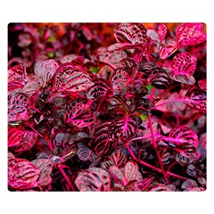 Red Leaves Plant Nature Leaves Two Sides Premium Plush Fleece Blanket (small) by Sarkoni