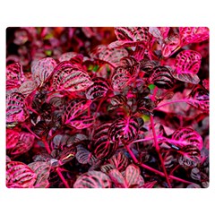 Red Leaves Plant Nature Leaves Two Sides Premium Plush Fleece Blanket (medium) by Sarkoni