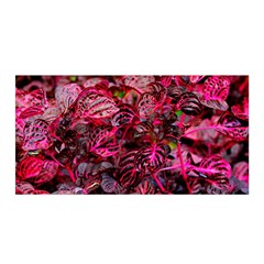 Red Leaves Plant Nature Leaves Satin Wrap 35  X 70  by Sarkoni