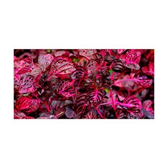 Red Leaves Plant Nature Leaves Yoga Headband by Sarkoni