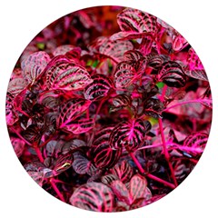 Red Leaves Plant Nature Leaves Round Trivet by Sarkoni