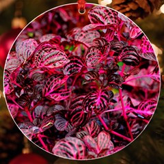 Red Leaves Plant Nature Leaves Uv Print Acrylic Ornament Round