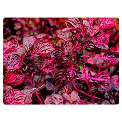 Red Leaves Plant Nature Leaves Two Sides Premium Plush Fleece Blanket (extra Small) by Sarkoni