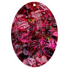 Red Leaves Plant Nature Leaves Uv Print Acrylic Ornament Oval