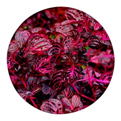 Red Leaves Plant Nature Leaves Round Glass Fridge Magnet (4 Pack) by Sarkoni