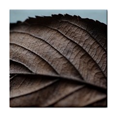 Leaf Veins Nerves Macro Closeup Tile Coaster by Amaryn4rt