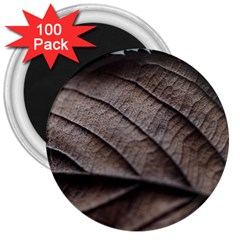 Leaf Veins Nerves Macro Closeup 3  Magnets (100 Pack) by Amaryn4rt