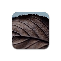 Leaf Veins Nerves Macro Closeup Rubber Coaster (square) by Amaryn4rt