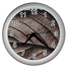 Leaf Veins Nerves Macro Closeup Wall Clock (silver) by Amaryn4rt