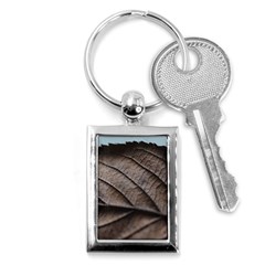 Leaf Veins Nerves Macro Closeup Key Chain (rectangle) by Amaryn4rt