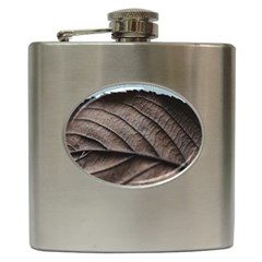 Leaf Veins Nerves Macro Closeup Hip Flask (6 Oz) by Amaryn4rt