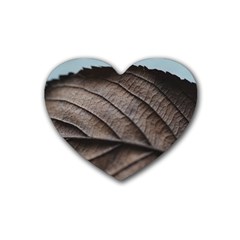 Leaf Veins Nerves Macro Closeup Rubber Coaster (heart) by Amaryn4rt