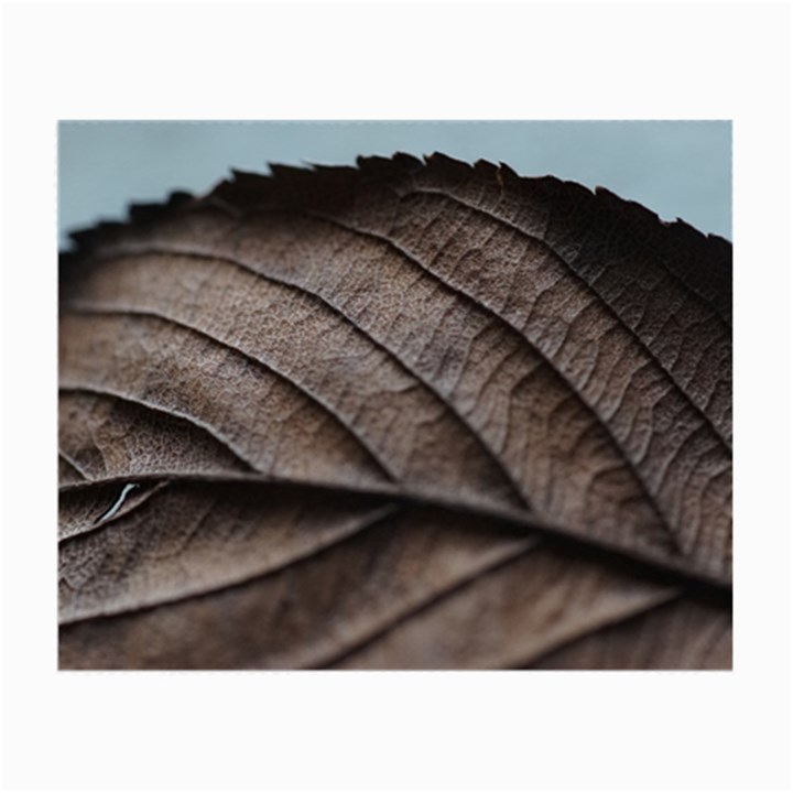 Leaf Veins Nerves Macro Closeup Small Glasses Cloth (2 Sides)