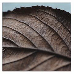 Leaf Veins Nerves Macro Closeup Square Satin Scarf (36  X 36 ) by Amaryn4rt