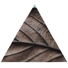 Leaf Veins Nerves Macro Closeup Wooden Puzzle Triangle by Amaryn4rt