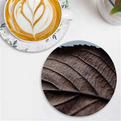 Leaf Veins Nerves Macro Closeup Uv Print Round Tile Coaster by Amaryn4rt