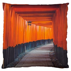 Architecture Art Bright Color Large Cushion Case (one Side) by Amaryn4rt