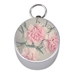 Cloves Flowers Pink Carnation Pink Mini Silver Compasses Front