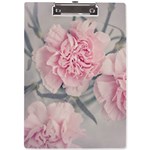 Cloves Flowers Pink Carnation Pink A4 Acrylic Clipboard Front