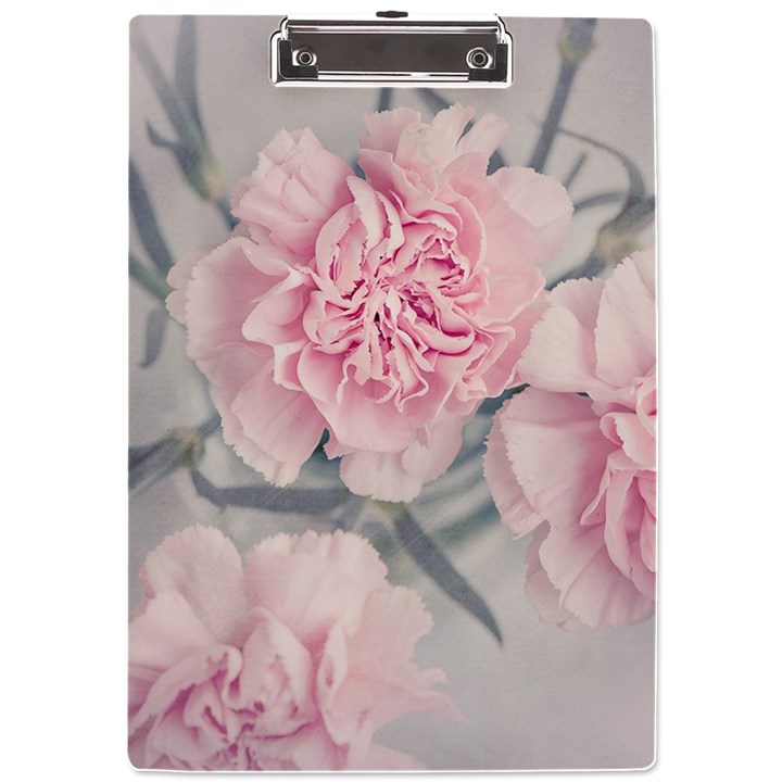 Cloves Flowers Pink Carnation Pink A4 Acrylic Clipboard