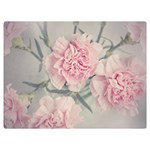 Cloves Flowers Pink Carnation Pink Premium Plush Fleece Blanket (Extra Small) 40 x30  Blanket Front