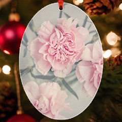 Cloves Flowers Pink Carnation Pink Uv Print Acrylic Ornament Oval by Amaryn4rt