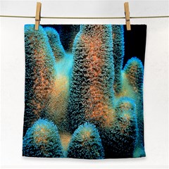 Photo Coral Great Scleractinia Face Towel by Pakjumat