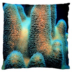 Photo Coral Great Scleractinia Large Premium Plush Fleece Cushion Case (two Sides) by Pakjumat