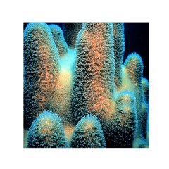 Photo Coral Great Scleractinia Square Satin Scarf (30  X 30 )