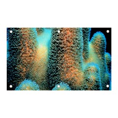 Photo Coral Great Scleractinia Banner And Sign 5  X 3 