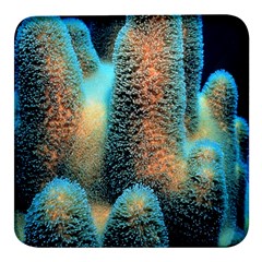 Photo Coral Great Scleractinia Square Glass Fridge Magnet (4 Pack) by Pakjumat