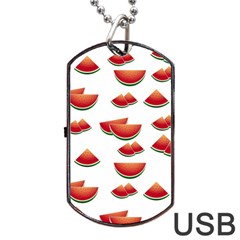 Summer Watermelon Pattern Dog Tag Usb Flash (one Side) by Dutashop