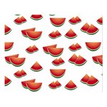 Summer Watermelon Pattern Two Sides Premium Plush Fleece Blanket (Large) 80 x60  Blanket Front