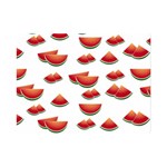 Summer Watermelon Pattern Premium Plush Fleece Blanket (Mini) 35 x27  Blanket Front