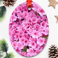 Beautiful Tree Flowers Ornament (oval)