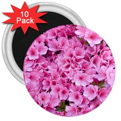 Beautiful Tree Flowers 3  Magnets (10 Pack)  by 1212