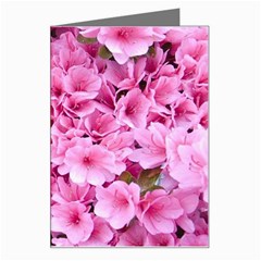 Beautiful Tree Flowers Greeting Card by 1212