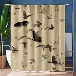 Vintage Old Fashioned Antique Shower Curtain 60  x 72  (Medium)  60 x72  Curtain