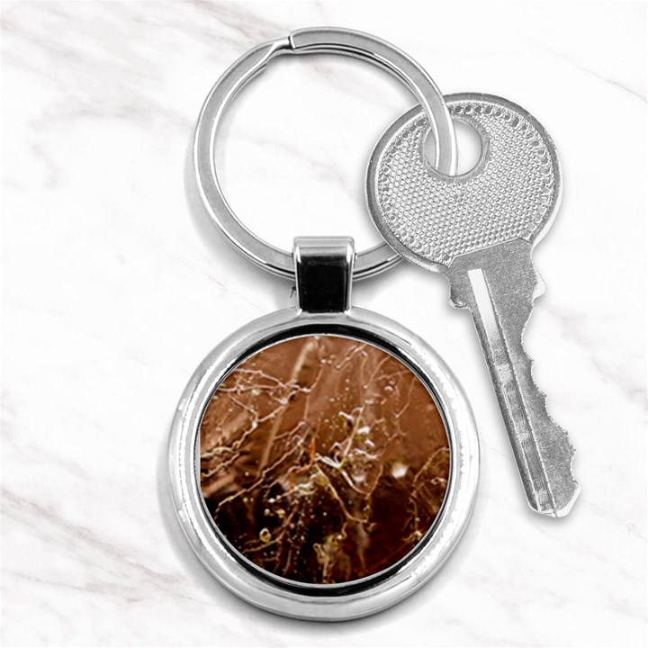 Stainless Structure Collection Key Chain (Round)