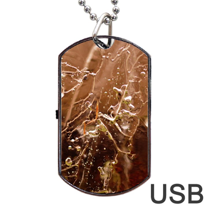 Stainless Structure Collection Dog Tag USB Flash (Two Sides)