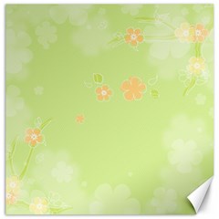 Aniseed Green Vintage Background Canvas 12  X 12  by Amaryn4rt