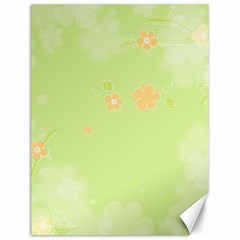 Aniseed Green Vintage Background Canvas 12  X 16  by Amaryn4rt