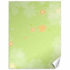 Aniseed Green Vintage Background Canvas 18  X 24  by Amaryn4rt