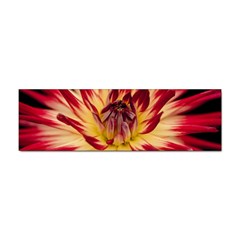 Bloom Blossom Close Up Flora Sticker Bumper (100 Pack)