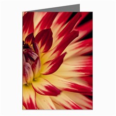 Bloom Blossom Close Up Flora Greeting Cards (pkg Of 8) by Amaryn4rt